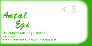antal egi business card